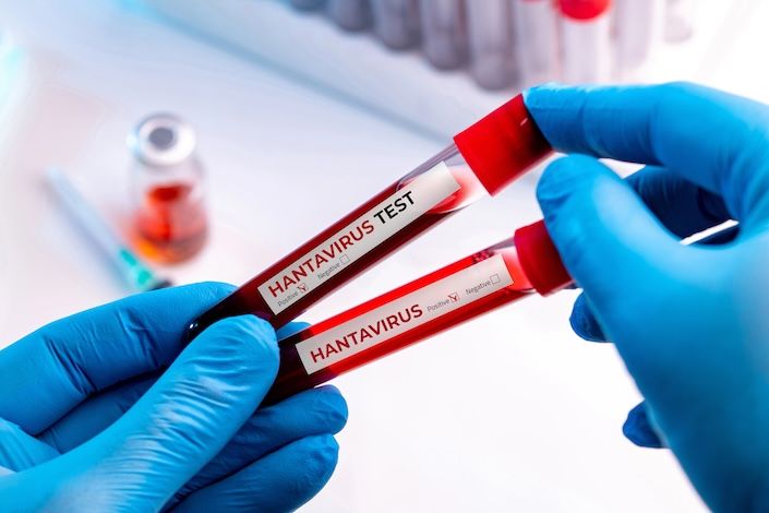 Hantavirus-stricken cruise ship docks in the Netherlands for disinfection