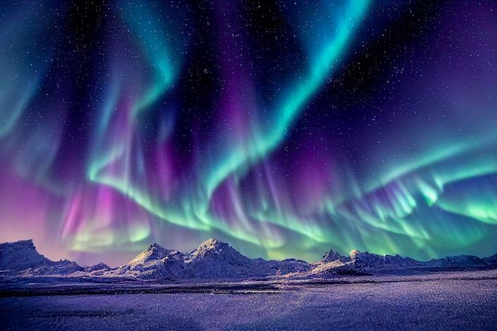 Hurtigruten stellt „Northern Delights“ vor: Die ultimative Reise in die arktische Wildnis des hohen Nordens