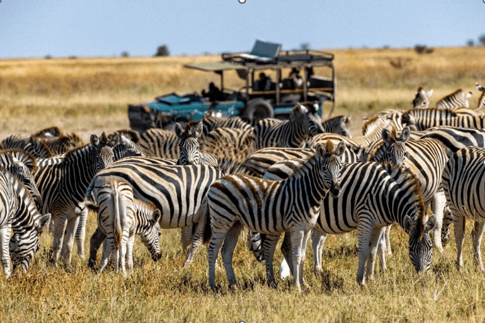 In celebration of wild about wildlife month African Travel, Inc. offers the allure of the green season