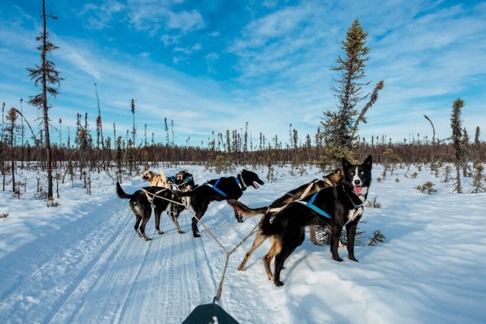 Insight Vacations’ new multimedia series highlights the people behind places