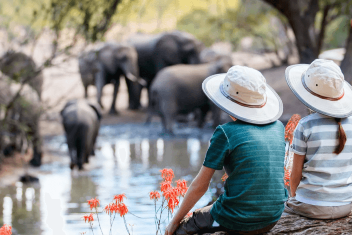 International tourist arrivals up 5% in the first nine months of 2025