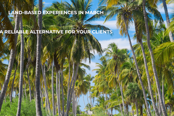 Late-March travel planning: Availability & seasonal updates