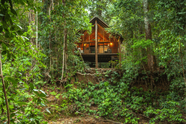 magical-moments-six-sustainable-treehouse-stays-to-reconnect-with-nature-9.png