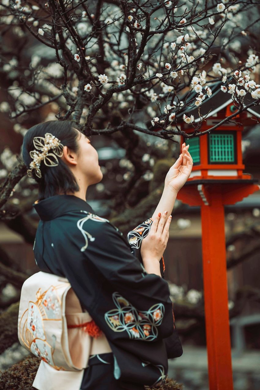 maplelux-holidays-harmony-japan-fam-2027-2.jpg