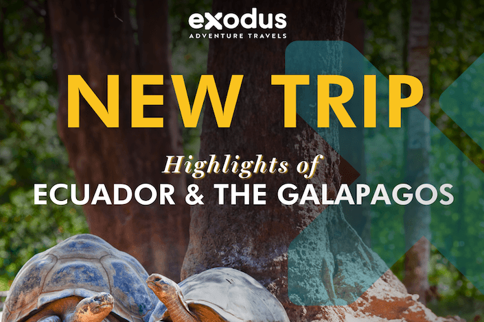 New Exodus Trip Alert: Ecuador & Galapagos Wildlife Adventure