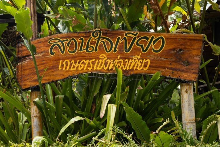 recommended-restaurant-phuket-greenheart-garden-restaurant-kata-group-5.jpg