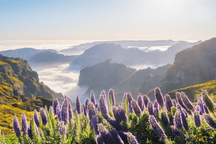 Registration opens for ABTA’s 2026 Travel Convention in Funchal, Madeira