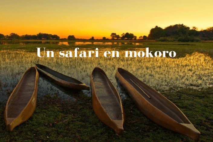 Un safari en mokoro