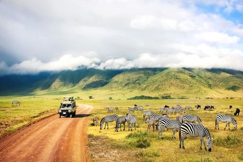 Earn an extra $500 with African Travel, Inc.