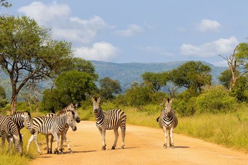 G Adventures' South Africa FAM 2023