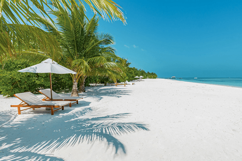 Inclusive Collection, part of World of Hyatt: Sun, Sand + Savings