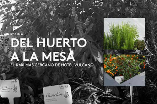Del huerto a la mesa: el KM0 más cercano de Hotel Vulcano