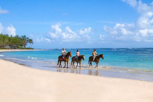 Stay in Barbados and receive cashback to explore the island