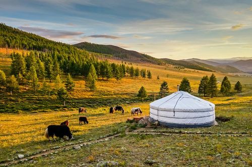 Travel All Mongolia FAMs 2022/2023