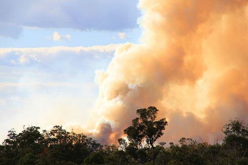 France evacuates 4,000 people as heat threatens wildfire fight across southwestern Europe
