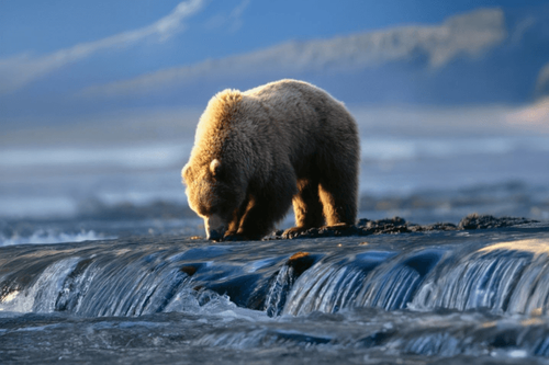Azamara Cruises unveils immersive cruisetours for an unforgettable 2026 Alaska season