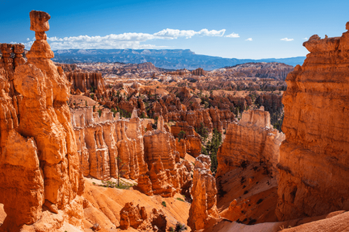 Brand USA launches the 2025 ‘Sell Your Way to the USA’ incentive program for Canadian Travel Advisors