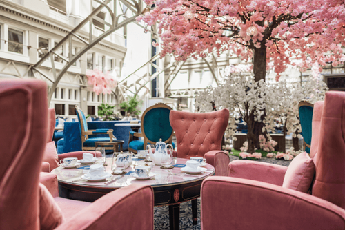 Celebrate Cherry Blossom season with these hotel offerings from Washington, D.C. to Washington State