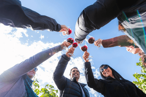Chile inicia temporada de vendimias con más de 40 fiestas entre febrero y mayo