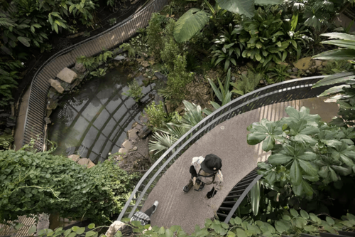 Cinco jardines botánicos imperdibles para visitar en Colombia