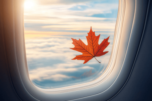 Competition Bureau has ideas to lower airfares in Canada – will they fly?