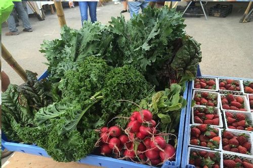 Costa Rica Tourism Board makes conscious effort to promote gastronomy
