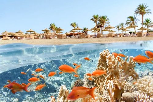 DERTOUR Reisebarometer: Ägypten wird Winterfavorit – Solo Travel und Frühbuchertrend wachsen weiter