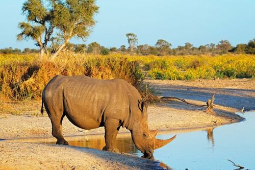 Discover Airlines erweitert Flugangebot nach Namibia