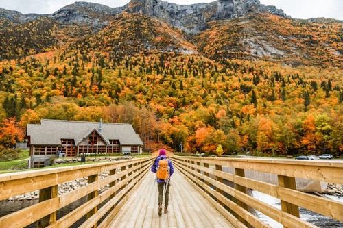 Domestic travel is growing – but are advisors seeing the bookings?