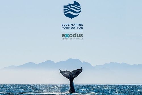 Exodus is celebrating Agent Appreciation Month: You Make Waves!