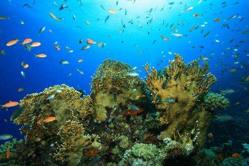 Exploring the Sea of Cortez: Where it is and the best places to stay in Los Cabos