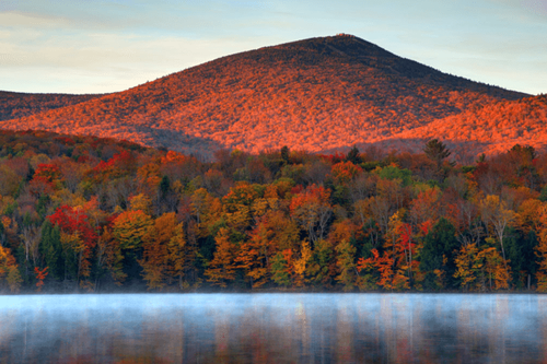 Follow the yellow forest: How American Airlines can get you to the season’s best leaf-peeping spots