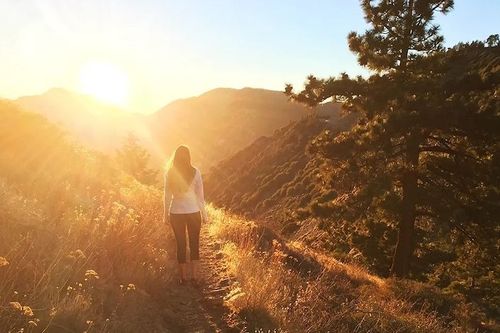 Forest bathing in California: An introduction
