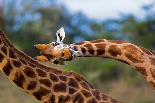G Adventures launches new flexible booking options