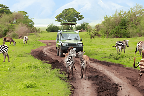 Goway heading to Western Canada for Africa & Middle East educational event