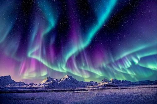Hurtigruten stellt „Northern Delights“ vor: Die ultimative Reise in die arktische Wildnis des hohen Nordens
