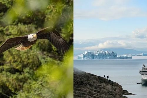 HX Expeditions launches 2028/29 season with 26 new voyages across Antarctica, the Arctic and Scandinavia