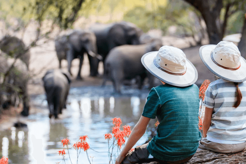 Las llegadas de turistas internacionales aumentaron un 5% en los nueve primeros meses de 2025
