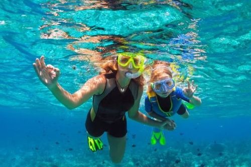 Les meilleurs endroits pour faire du snorkeling à la gomera