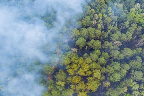 The latest on France’s wildfire that forced 220,000 people to flee