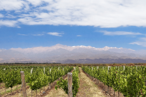 Mendoza se ubica en el tercer lugar entre los destinos más buscados por los argentinos para las vacaciones de invierno