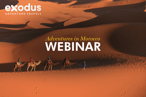 New Agent Training: Adventures in Morocco