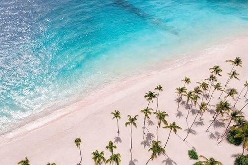 New opening date for Hyatt Vivid Punta Cana