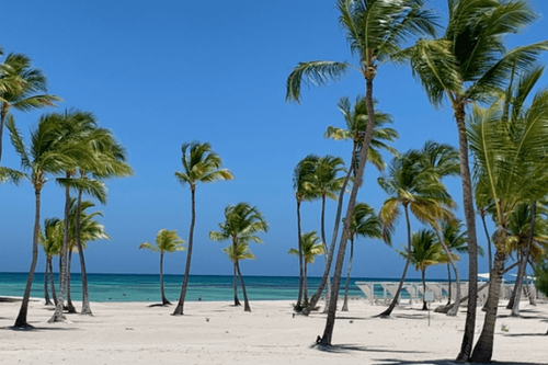 Punta Cana será sede de cumbre de ONU Turismo para África y América en octubre