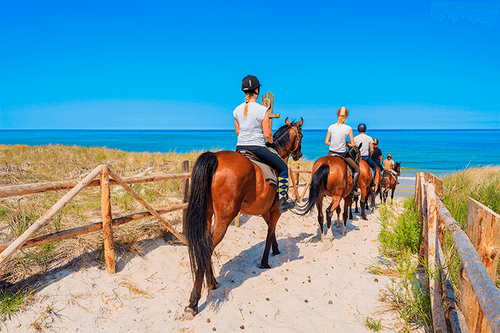 Professional team building with structured planning and bonus incentives for agents