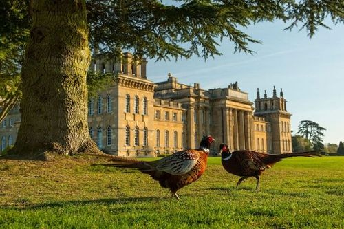 ‘Set-jetting’ around England, to much-loved locales from Bridgerton, Downton Abbey and more