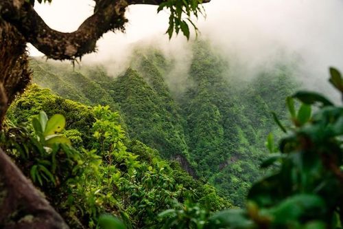 St. Kitts receives double honours at Caribbean Journal’s 2026 Caribbean Travel Awards