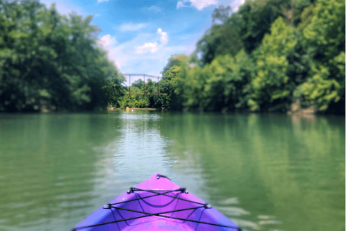 Summer travel hot spots in Nashville's Big Back Yard