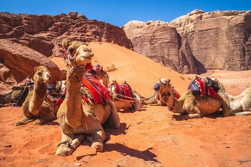Jordan Tourism Board appoints North American representation partner