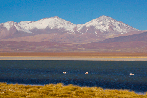 Turismo de Chile se abre al mundo y prepara intenso calendario de promoción para el primer semestre